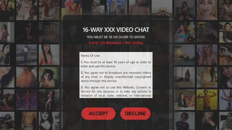 Pick your gender and read the 18+ notice to enter the chatroom.