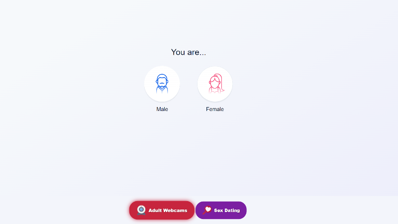Plataformas top como ParaU, Fachat, HOLLA e Chatspin tornam o chat de vídeo seguro, fácil e divertido.