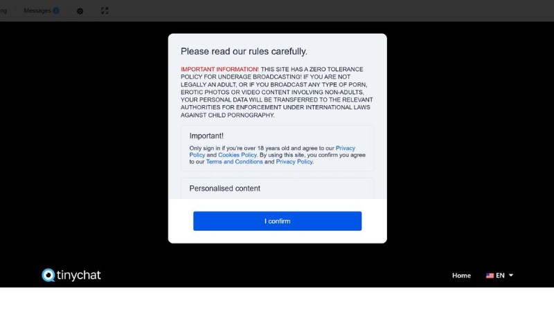 Agree to the community guidelines before accessing TinyChat’s features.