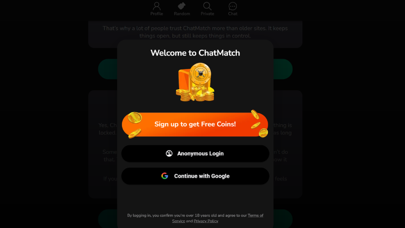 User navigating Chatmatch with Start and Next buttons, simple and intuitive interface